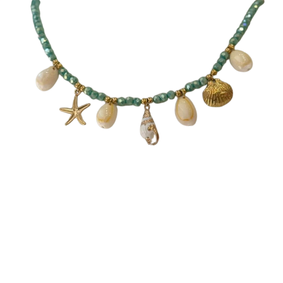 Deniz Kabuğu Büyüsü