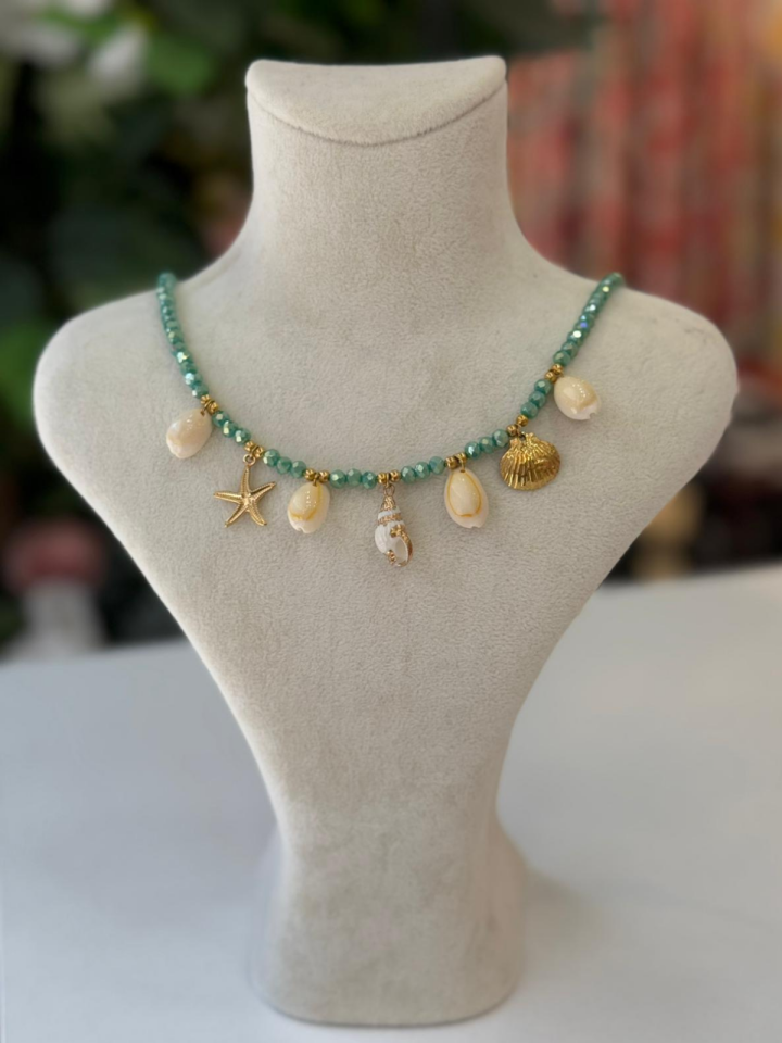 Deniz Kabuğu Büyüsü