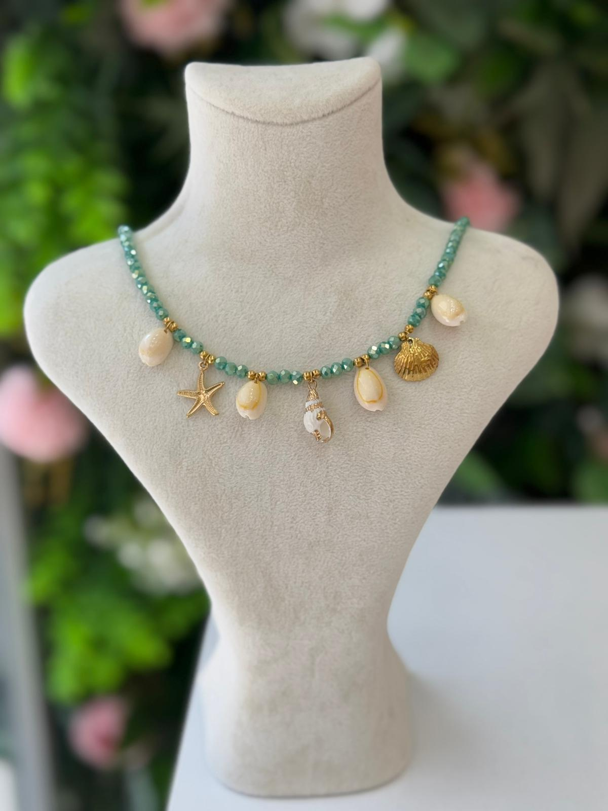 Deniz Kabuğu Büyüsü